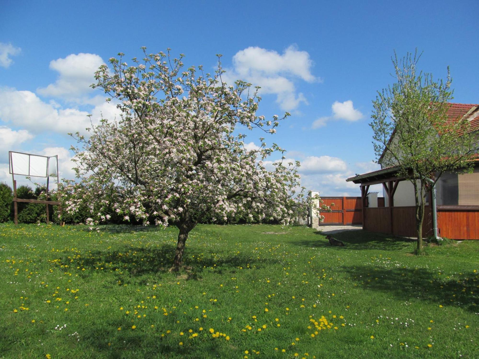 Pension Otevek Trhove Sviny ภายนอก รูปภาพ