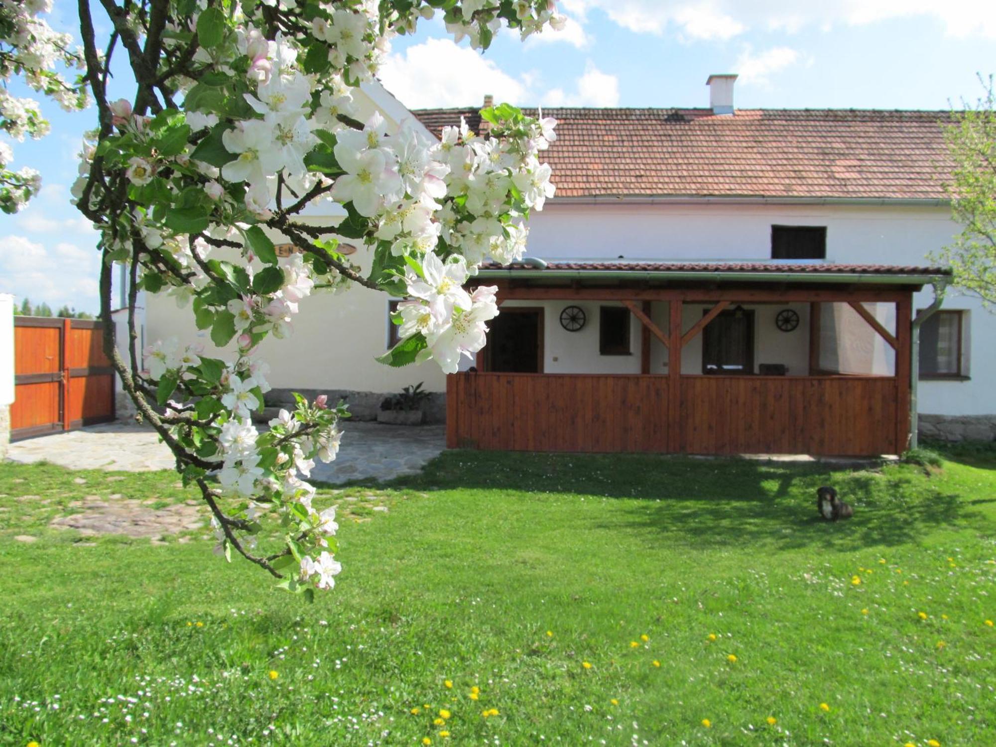 Pension Otevek Trhove Sviny ภายนอก รูปภาพ